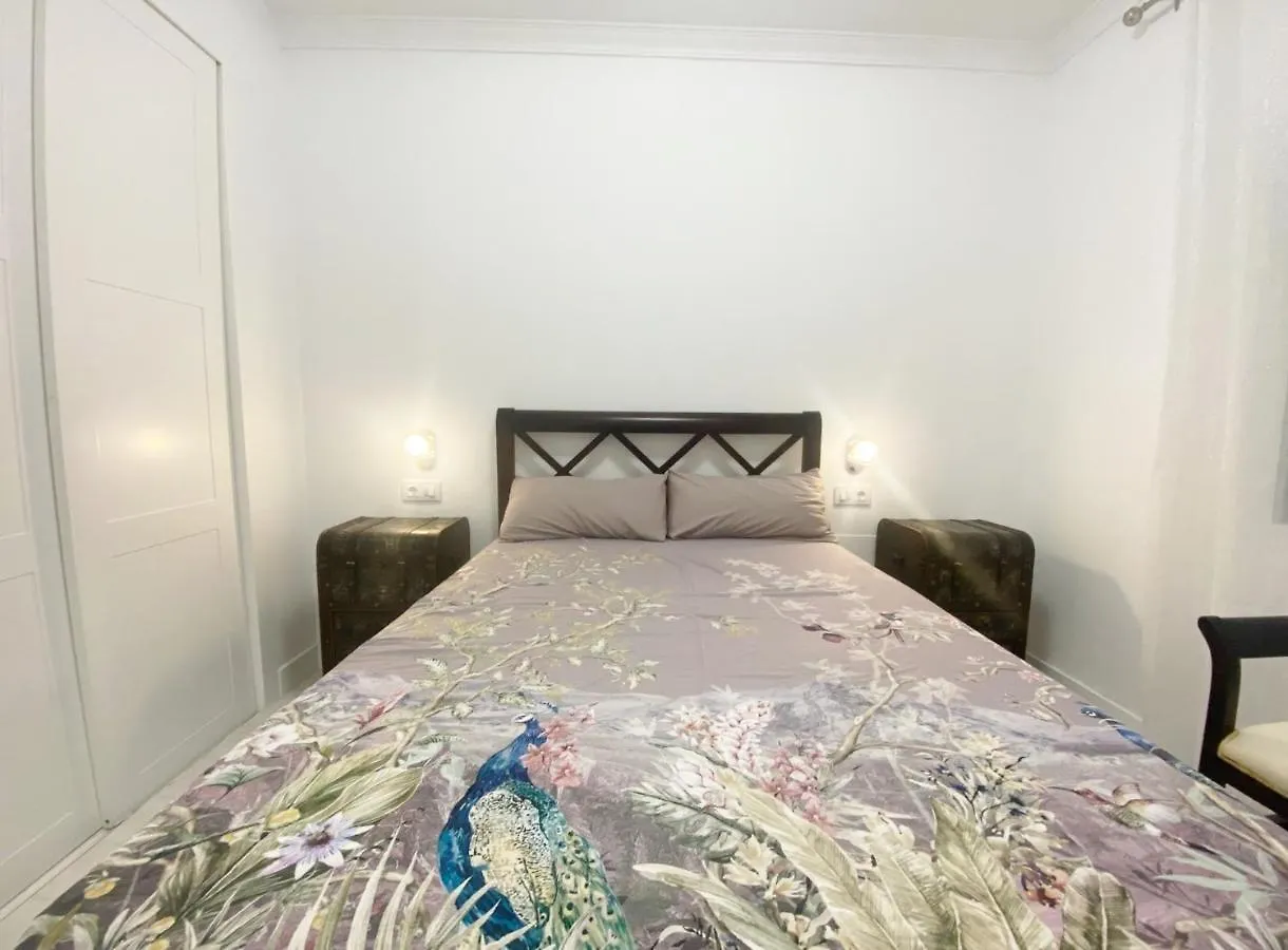 Apartamento Amilcar Frente A La Playa Primera Linea De Playa Cadiz Apartment