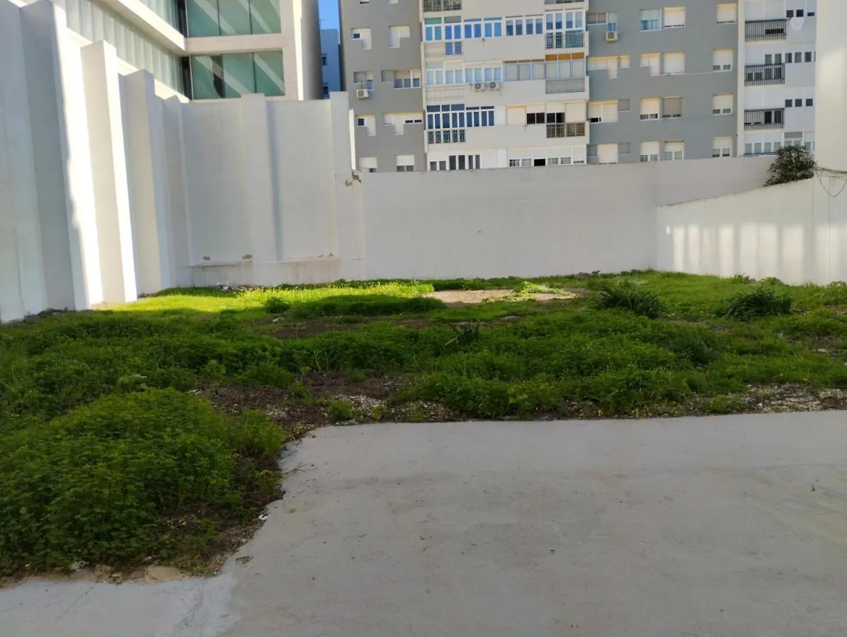 Apartamento Amilcar Frente A La Playa Primera Linea De Playa Cadiz